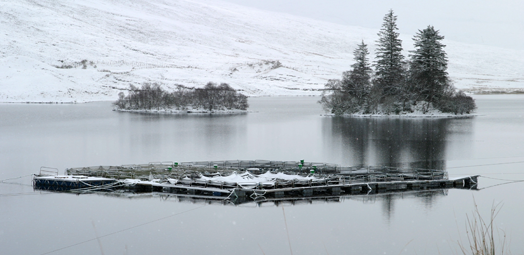 Freshwater Fish Farming